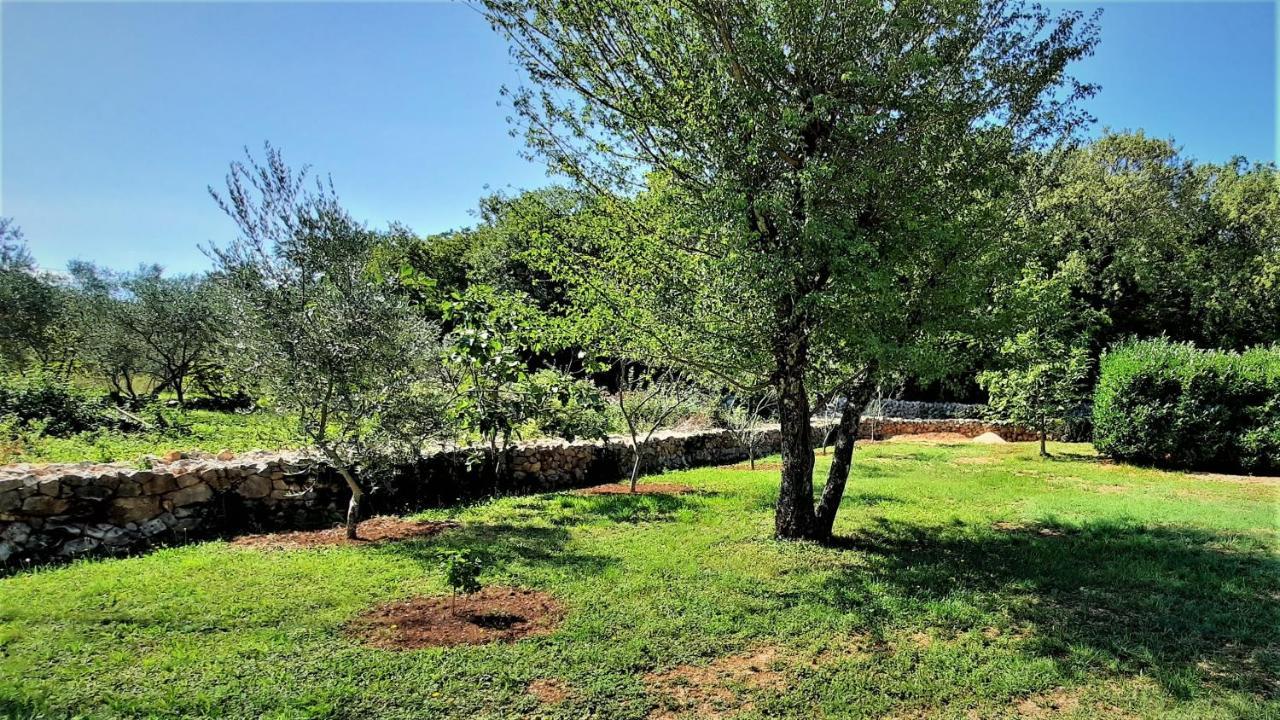 Holiday House Vela Vrta Sveti Ivan Dobrinjski Dış mekan fotoğraf