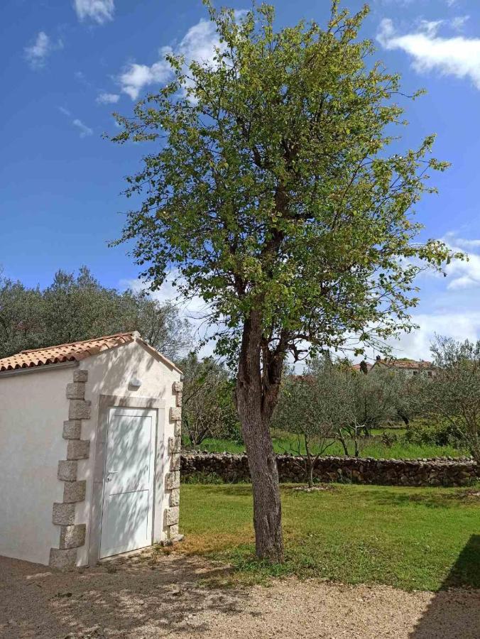 Holiday House Vela Vrta Sveti Ivan Dobrinjski Dış mekan fotoğraf