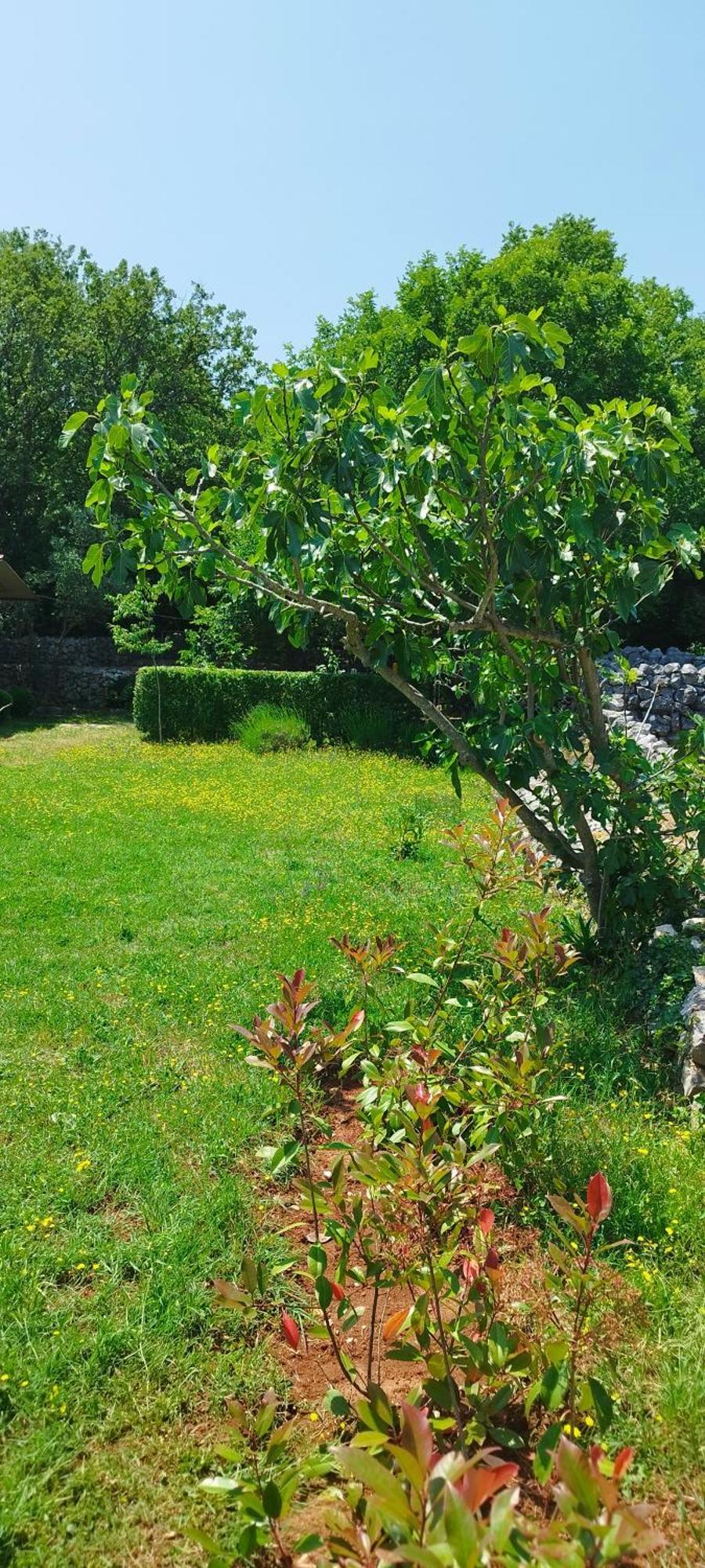Holiday House Vela Vrta Sveti Ivan Dobrinjski Dış mekan fotoğraf