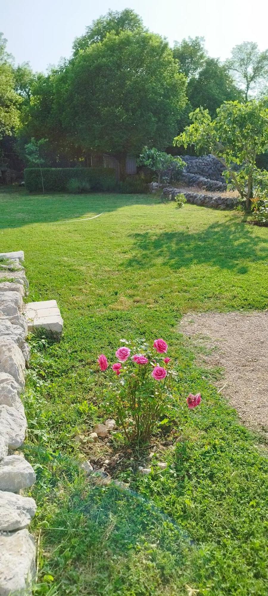 Holiday House Vela Vrta Sveti Ivan Dobrinjski Dış mekan fotoğraf
